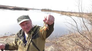 Где поймать карася в ярославской области