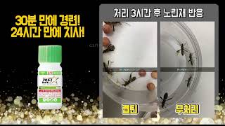 노린재 방제 비결! 30분만에 경련 24시간만에 치사시키는 방법은?!