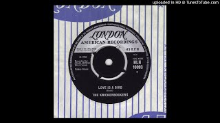 Knickerbockers - Love Is A Bird