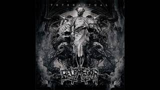 Belphegor - Embracing a Star