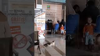 Download lagu KEC Serang baru kabupaten Bekasi #videoshort #masukberandaa #videos mp3 Download lagu KEC Serang baru kabupaten Bekasi #videoshort #masukberandaa #videos mp3