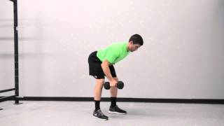 575. Single Arm Dumbbell Unsupported Bent Over Row (Eccentric)