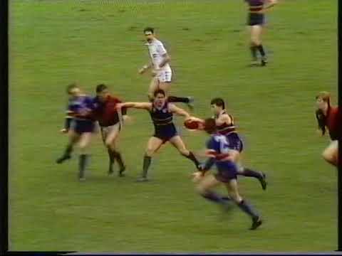 1984 - Essendon vs Footscray highlights - AFL VFL football