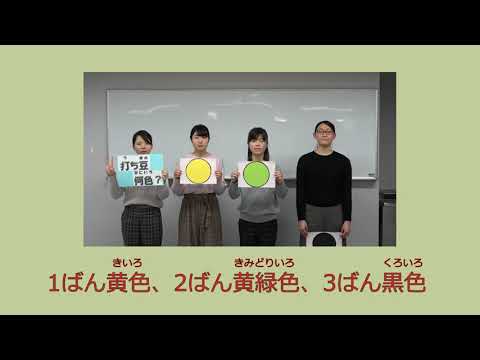 2019 福井市学校給食献立（打ち豆と福井サーモンの春巻き）