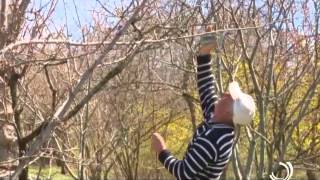 ტურისტი / The Tourist / მეოთხე სეზონი / ლიტვა-6 / Lithuania6 / 22 05 2015