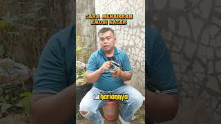 Download lagu Cara Menaikkan Emosi Kacer #kacer #birds #kacerjinak mp3