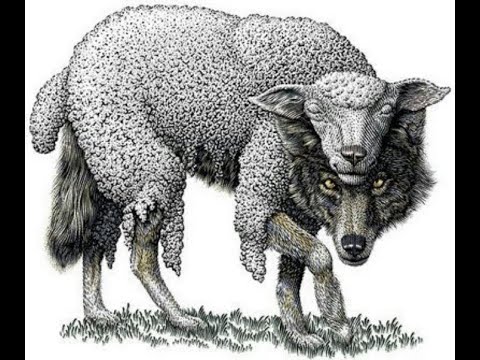 Looking Closer at "Pastor" Jeff and "Hello Saints".