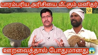 Magic Rice No Need to cook I Boka Saul I Telangana Srikanth I Ravikumar I SR I Tamil