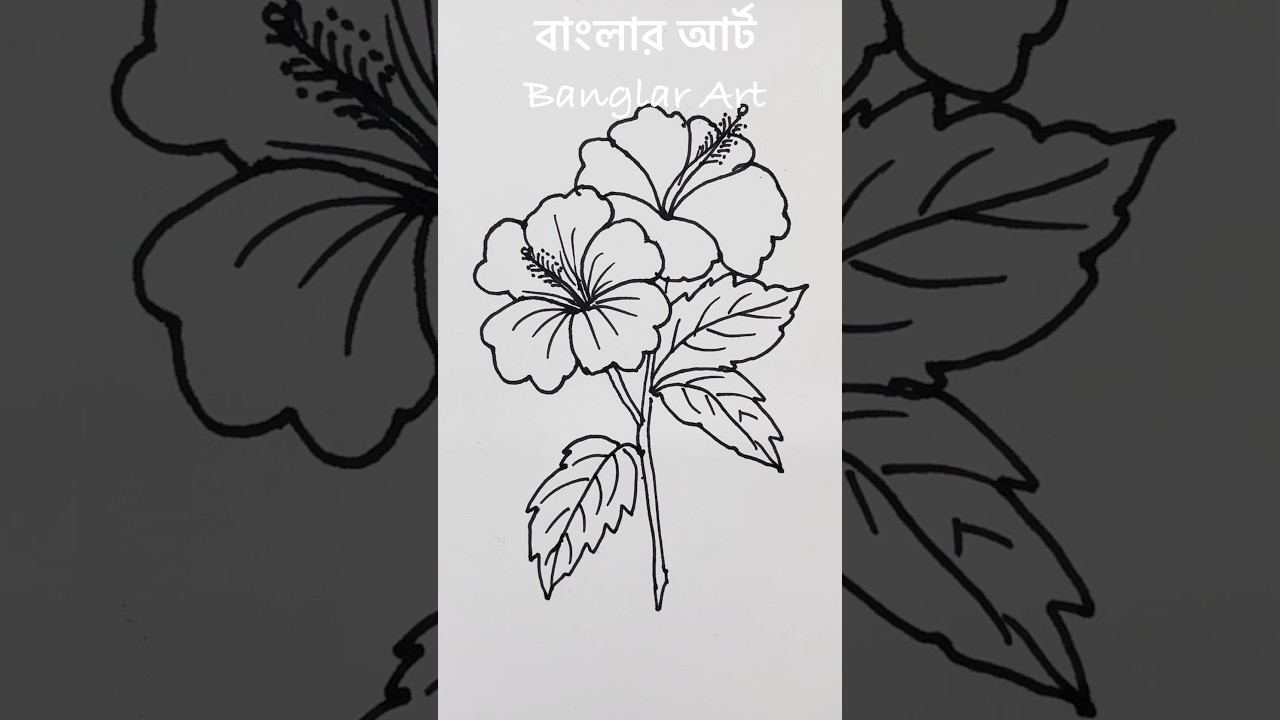 Hibiscus flower outline drawing ✍️ #drawing #art #hibiscus #painting