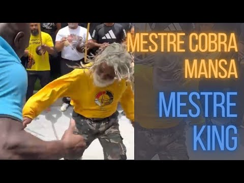 USOU UMA CANETA!? MESTRE COBRA MANSA E MESTRE KING