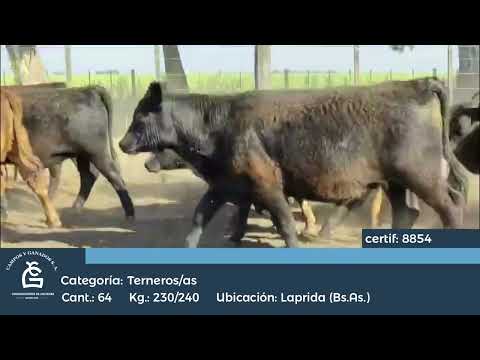 Lote M Y H - Laprida Bs As