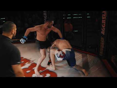 Aggrelin 23 - Highlights