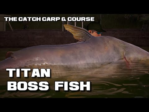 The Catch Carp & Coarse Huge Monster Mekong Catfish Boss Fish Titan 230lb 5oz Pearl Lake