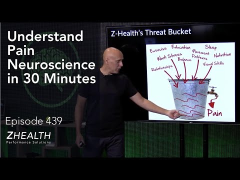 Understand Pain Neuroscience in 30 Minutes