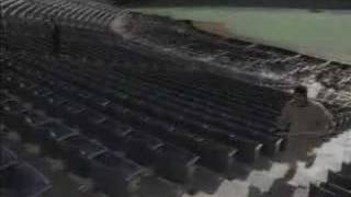 Chicks Dig the Long Ball