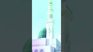 main_Deewana_Ho_Gaya_Hu_#yarasoolallah_#madina_#trending