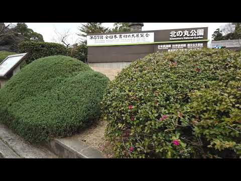 2021年　旅②　10 BABYMETAL BUDOKAN DOOMSDAY-Ⅳに行ってきました