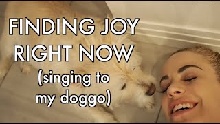 Finding Joy Right Now (Singing to my Doggo)