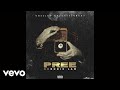 Chronic Law - Pree (Official Audio)