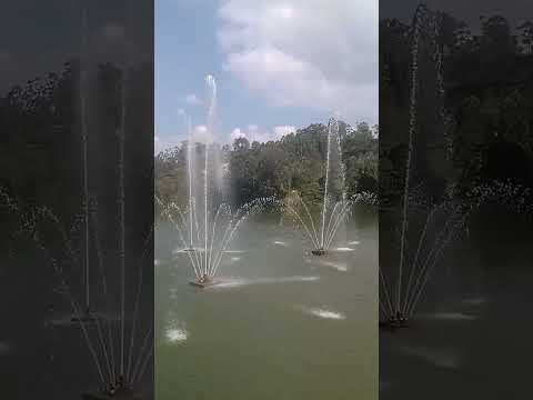 💚Embu das Artes Parque Francisco Rizzo Natureza Tranquilidade e Alegria 🌿🦆💧🌊🏞️🌿🌳🌲🌸🌼🌺🍃🌷🪷💦🌅🦢🌱🌻🌹🌾🌷💞🦋🌸🦆🌊