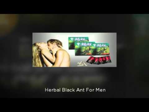 download lagu mp3 mp4 Black Ant Strong, download lagu Black Ant Strong gratis, unduh video klip Black Ant Strong