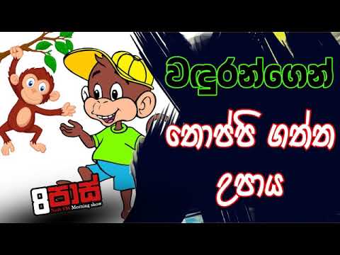 NETH FM 8 Pass Jokes 2020.02.25 - වඳුරන්ගෙන් තොප්පි ගත්ත උපාය