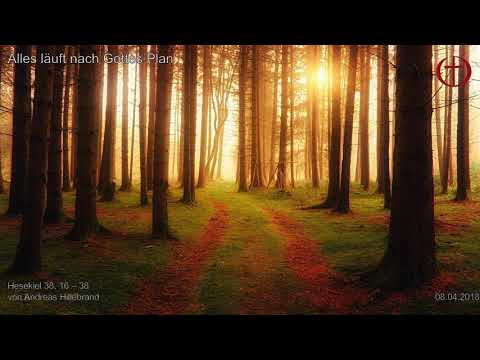 FeG FFB - Predigt - 08.04.2018 - Alles läuft nach Gottes Plan
