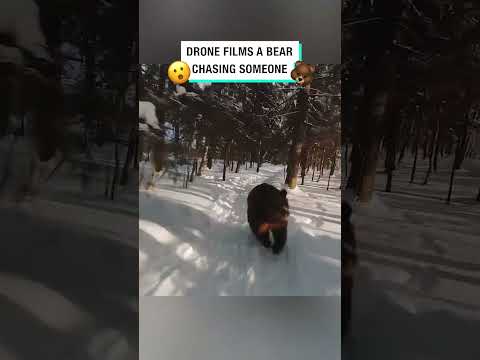 Drone films a bear chasing someone