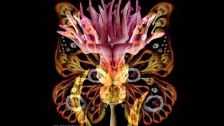 Tangerine Dream. East Berlin. Live.