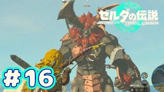 ＃１６　久々のアイツ【ゼルダの伝説～ティアーズ オブ ザ キングダム～】