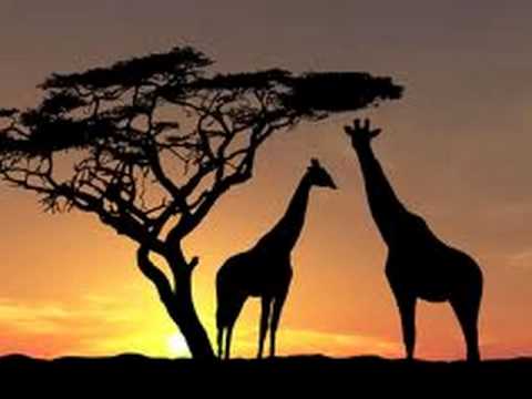 Mory Kante- Yeke Yeke (TRB Remix)