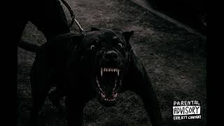 2026 South African trap - 25k ft Emtee and Maglera Doe Boy type beat 🔥🇿🇦 prod. by Leo 