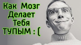 Как мозг заставляет нас делать глупости