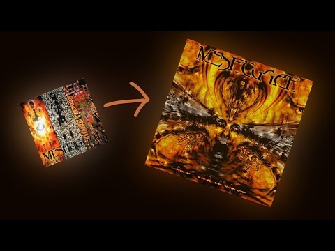 Future Breed Machine if it was on Nothing【Meshuggah Cover】