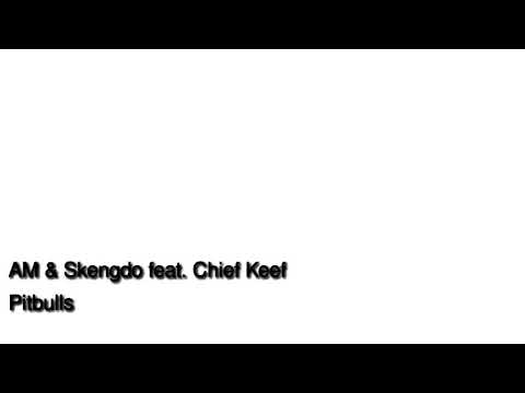 AM & Skengdo ft. Chief Keef - Pitbulls