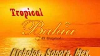 preview picture of video 'Tropikal BAHIA de etchojoa -  te quiero'