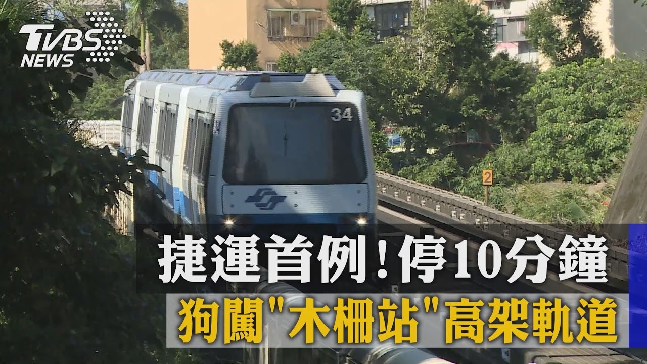 捷運首例!狗闖木柵站高架軌道 停10分鐘