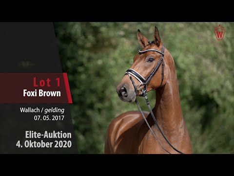 Elite-Auktion 4. Oktober 2020 Lot 1 Foxi Brown Wallach v. Flashdance - Show Star