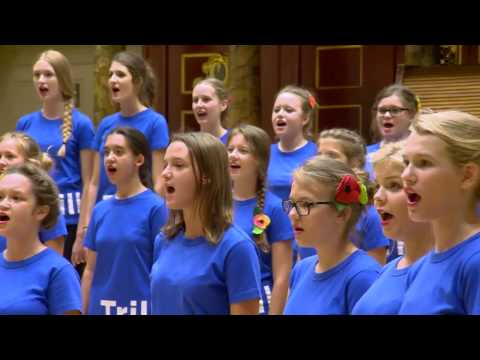 TRILLME FESTIVAL 2016 - Szymon Godziemba -Trytek: Forest Song / premiere performance