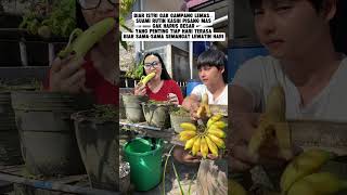 Download lagu Istri Lebih Semangat… Kalau Suami Rutin Kasih Pisangnya mp3