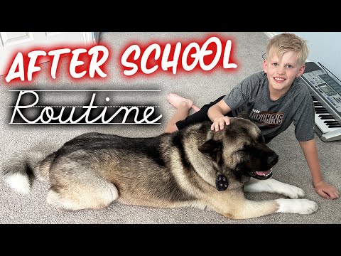 After School Routine *Updated 2024*