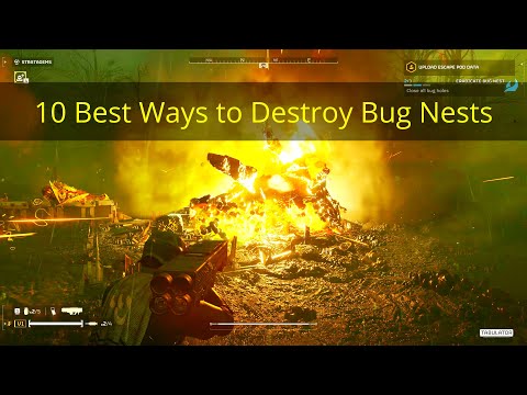 10 Best Ways to Destroy Bug Nests
