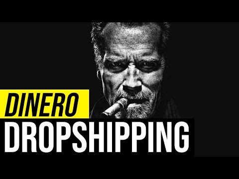 Dinero con Dropshipping👓