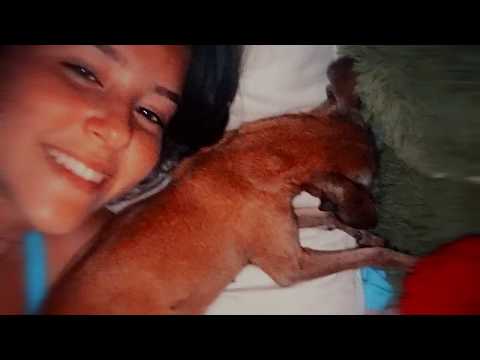 Julia & Babi - Homenagem