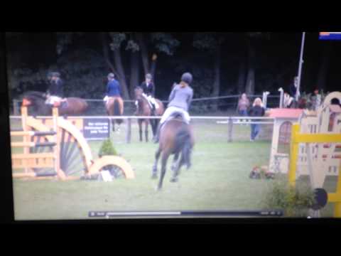 Cashman 6jähriger Cash and Carry x Landgraf Wallach - M*