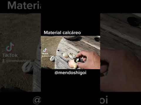 Comprobando rocas calcáreas con ácido