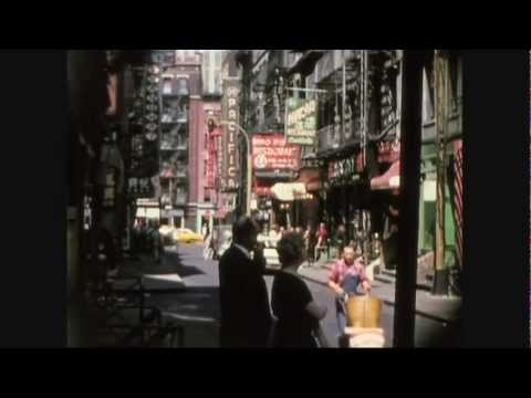 Manhattan 177665 brūkšninių kodų skaitytuvas Rankinis brūkšninių kodų skaitytuvas 1D/2D Lazeris Juoda video