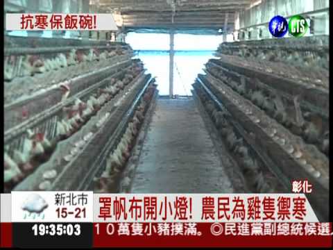 擔心寒害! 農民為作物加溫