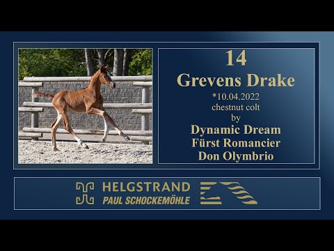 14 - Grevens Drake by Dynamic Dream/Fürst Romancier - Helgstrand-Schockemöhle Auction on 4 June 2022
