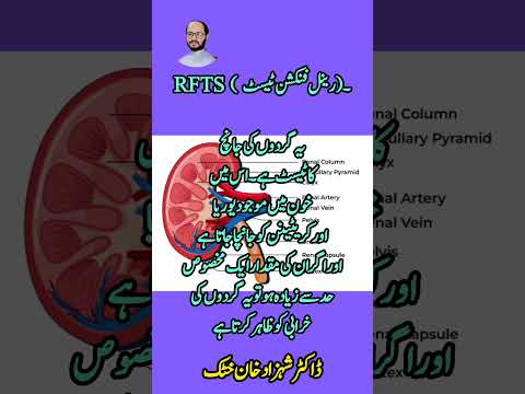 kidney||What is Renal function test |RFT #trending #imrankhan #drshahzadkhankhattak